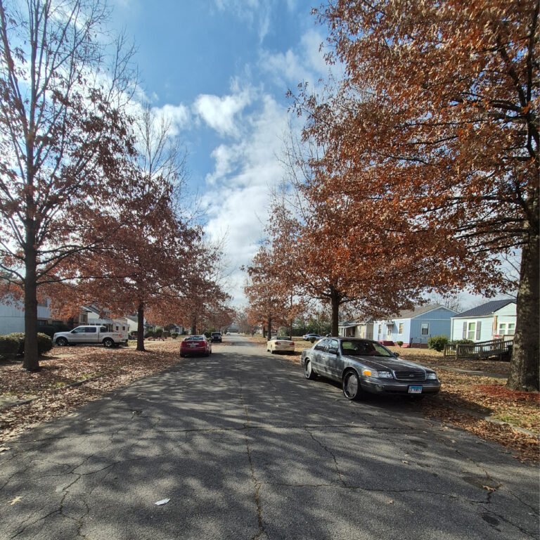 Artboard 1 copy 39@3x-100